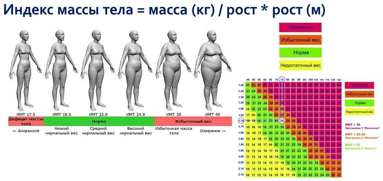Этот обманчивый Индекс массы тела.
