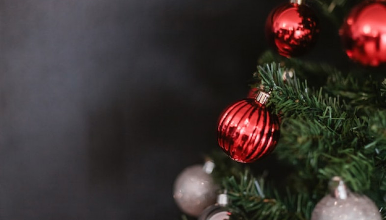 Назван срок установки главной новогодней елки в Петрозаводске