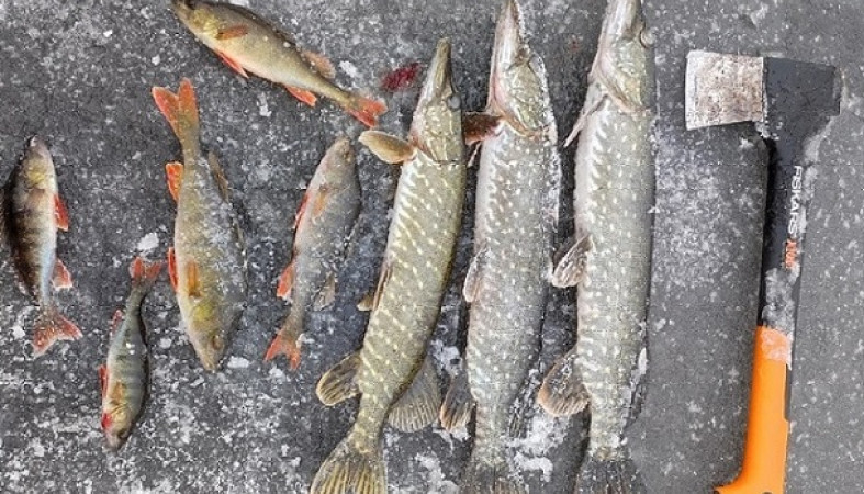 Рыбаки открывают зимний сезон в Карелии с риском для жизни