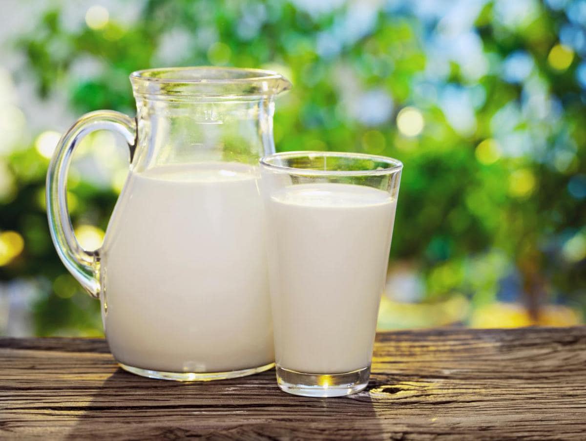 20 фактов о молоке: интересное о полезном напитке