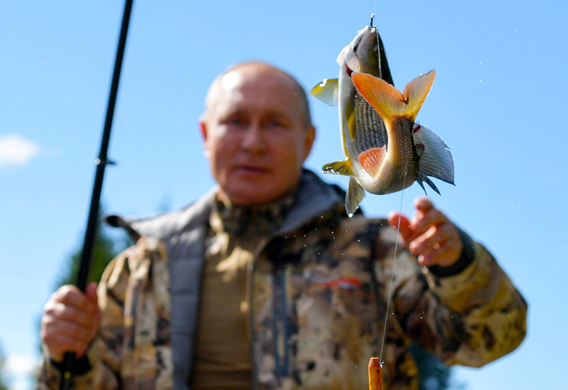 Россияне хотели бы чаще есть рыбу, но не могут себе этого позволить из-за её дороговизны? Изучаем данные социологического исследования