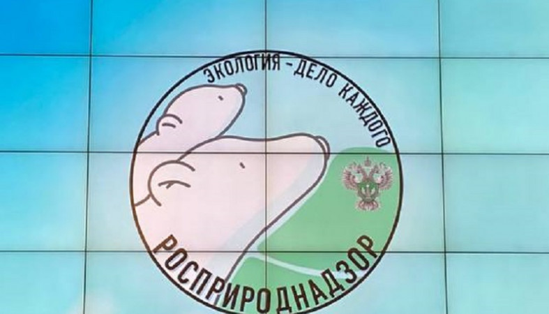 Премию Росприроднадзора получили школьницы из Петрозаводска
