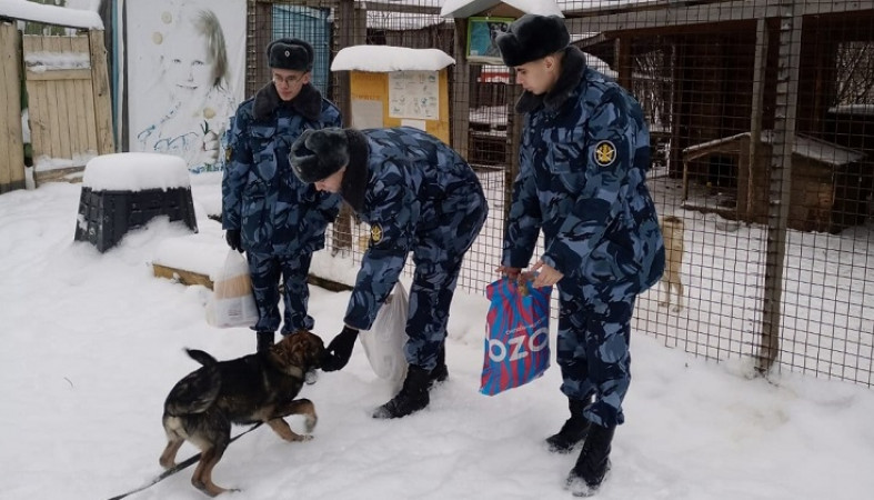 Собак в петрозаводском приюте накормили конвоиры УФСИН