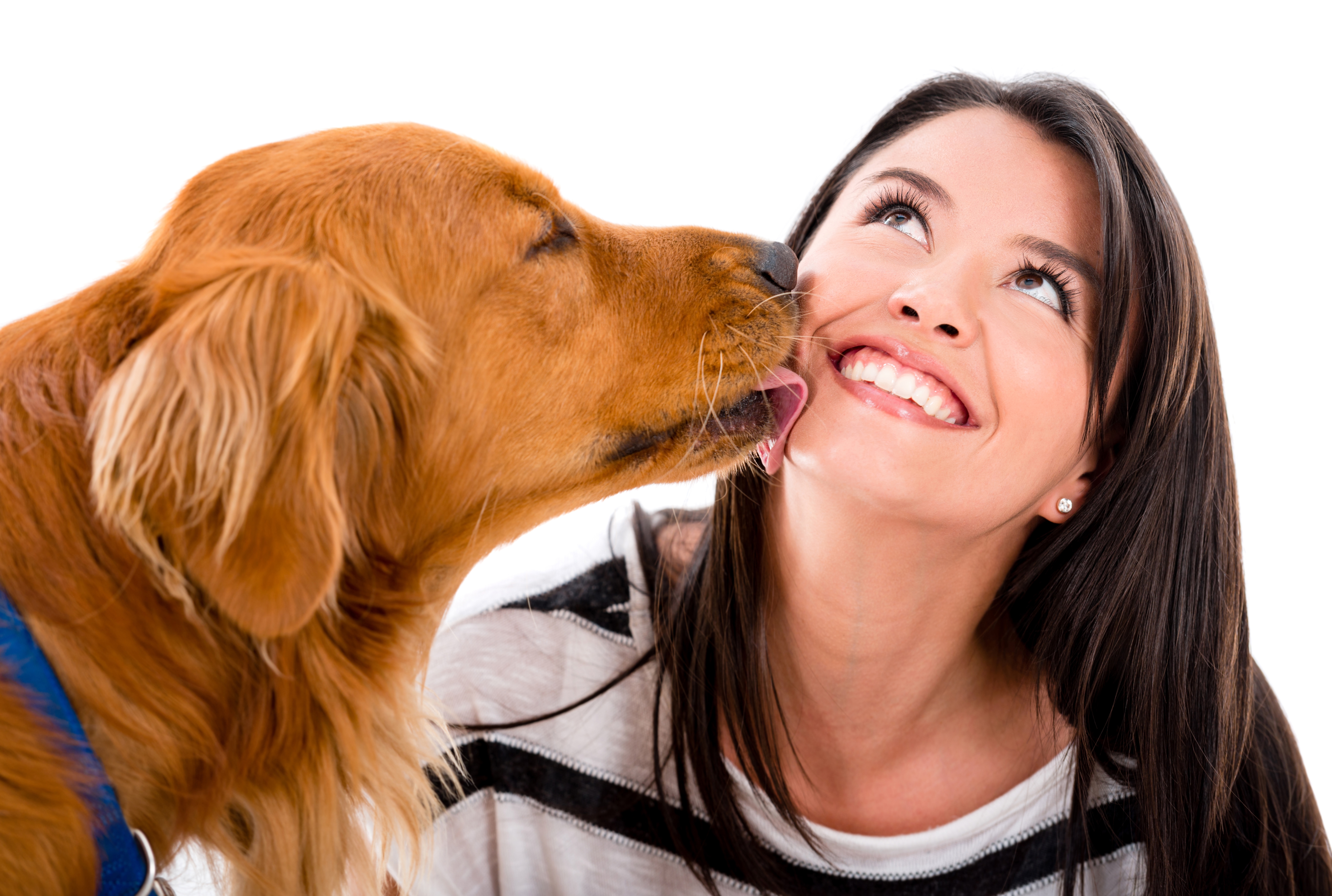 Ученые: поцелуи с собаками укрепляют здоровье человека