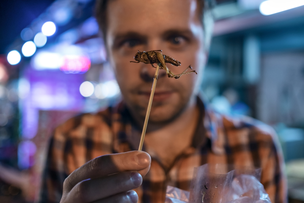 В Госдуме решили защитить россиян от продуктов питания из насекомых