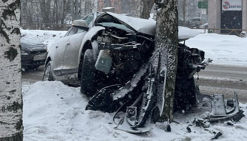 Водитель в Петрозаводске врезался в березу и превратил иномарку в хлам