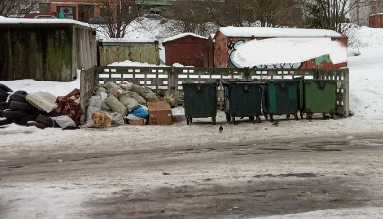 Любарский оценил ситуацию с вывозом мусора в Петрозаводске