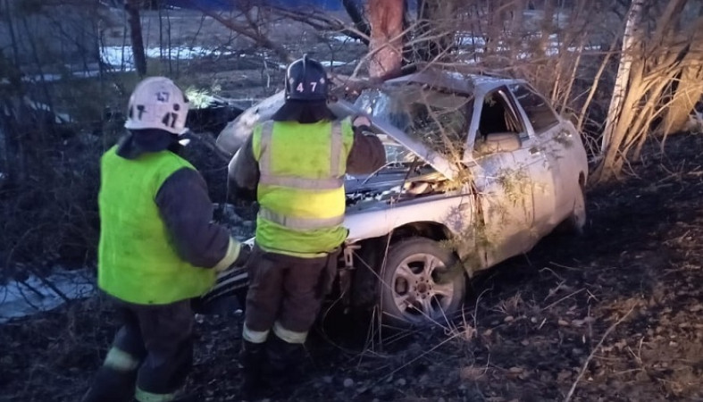 Люди пострадали в столкновении автомобиля с деревом под Петрозаводском