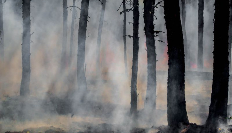 Лесной пожар вспыхнул на юге Карелии