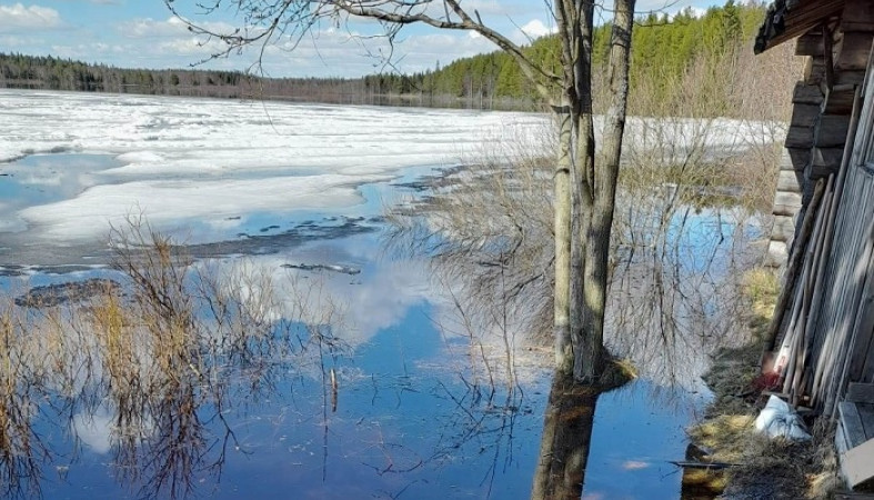 Дороги подтопило — вода подступила к дачам на севере Карелии