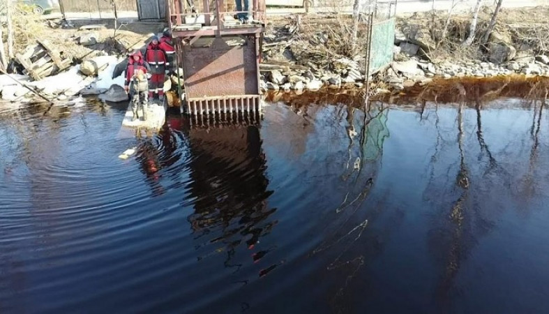 Водолазы собрали 14 кубов мусора у плотины под Петрозаводском