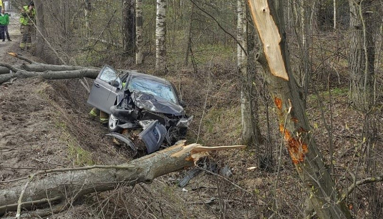 ДТП в Петрозаводске: машина вылетела в кювет и врезалась в дерево