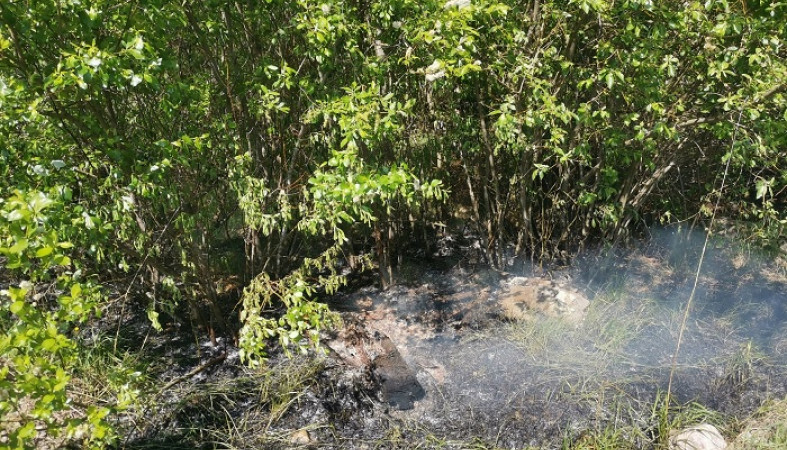 Пожарные потушили горящую траву в Эссойле