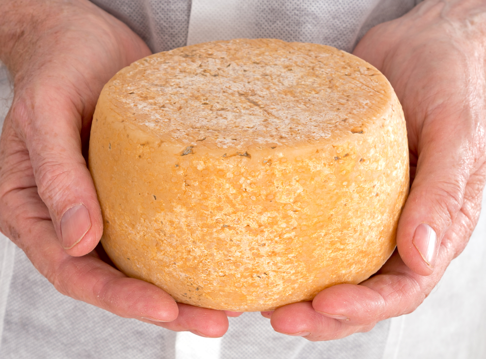 Домашний твердый сыр за 1,5 часа