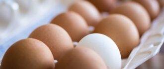 Как отличить настоящее куриное яйцо от химической подделки? Инструкция