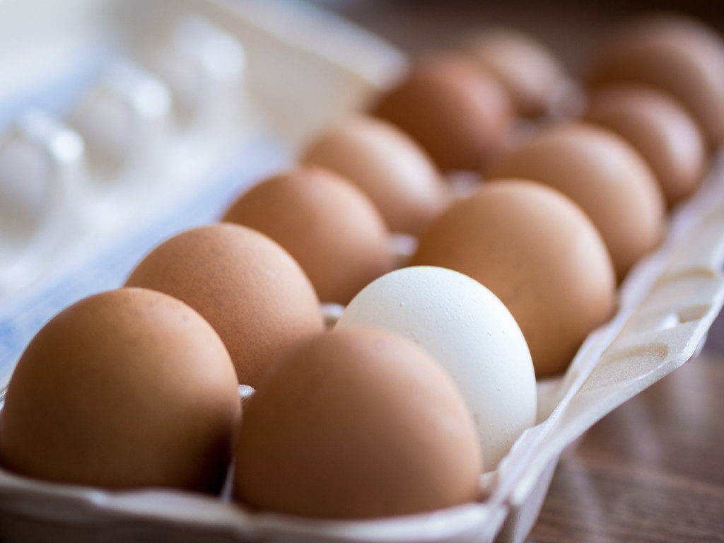 Как отличить настоящее куриное яйцо от химической подделки? Инструкция