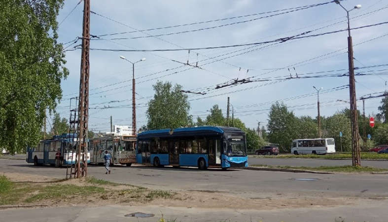 Трехлетний ребенок один ехал в троллейбусе в Петрозаводске