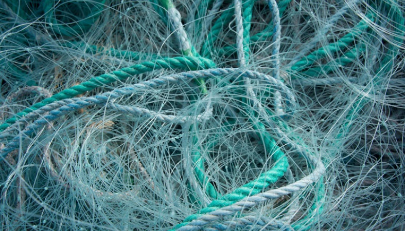 Более 700 рыболовных сетей забрала прокуратура у браконьеров в Карелии