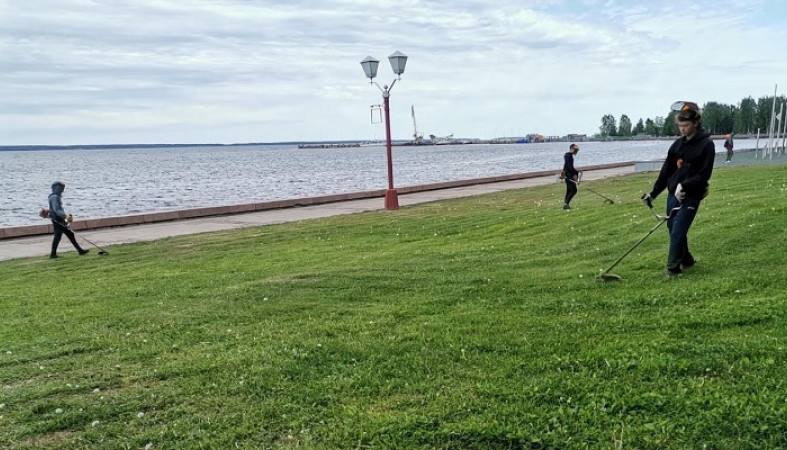 Новую клумбу разбили, траву скосили — Петрозаводск готовят к празднику