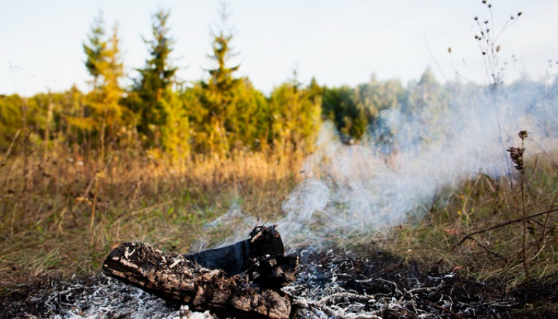 Лесных пожаров в этом сезоне в Карелии случилось вдвое больше