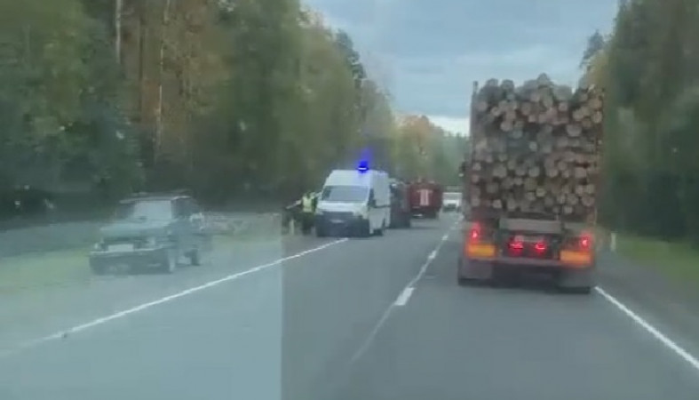 Грузовик с лесом перевернулся на трассе в Карелии